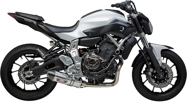 carbon fiber street bike