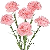 IPOPU Pink Carnations Artificial Flowers,6PCS Real Touch Faux Flowers 20'' Artificial Silk Carnations with Stems for Wedding Bouquet Party Table Centerpieces Home Decor (Pink)