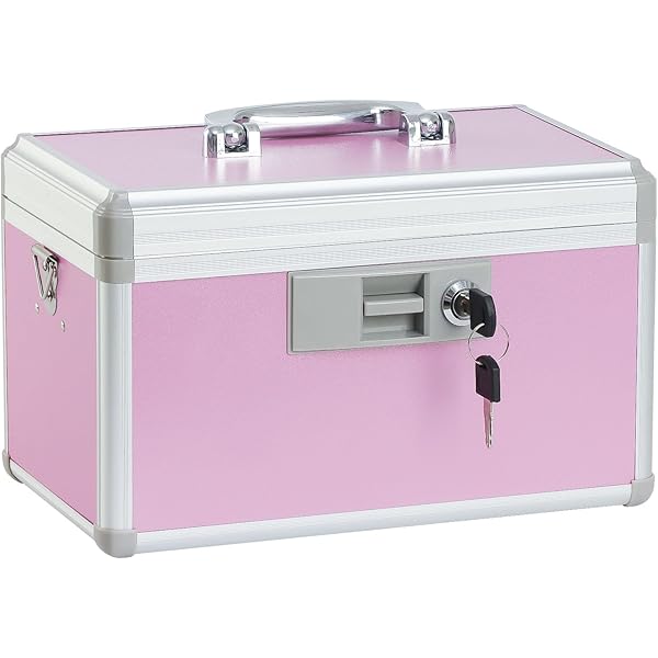 【新品】L'Appartement グッド グリーフMedicine Case Amazon.com: Glosen Medicine Lock Box With Key,pink,8.46