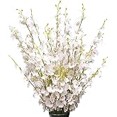 OMUYGDD White Silk Flowers in Bulk Wholesale Artificial Orchids, 12 Pcs (Each 38.5”), for Wedding Festive Party Home Office Decoration, No Include Vase