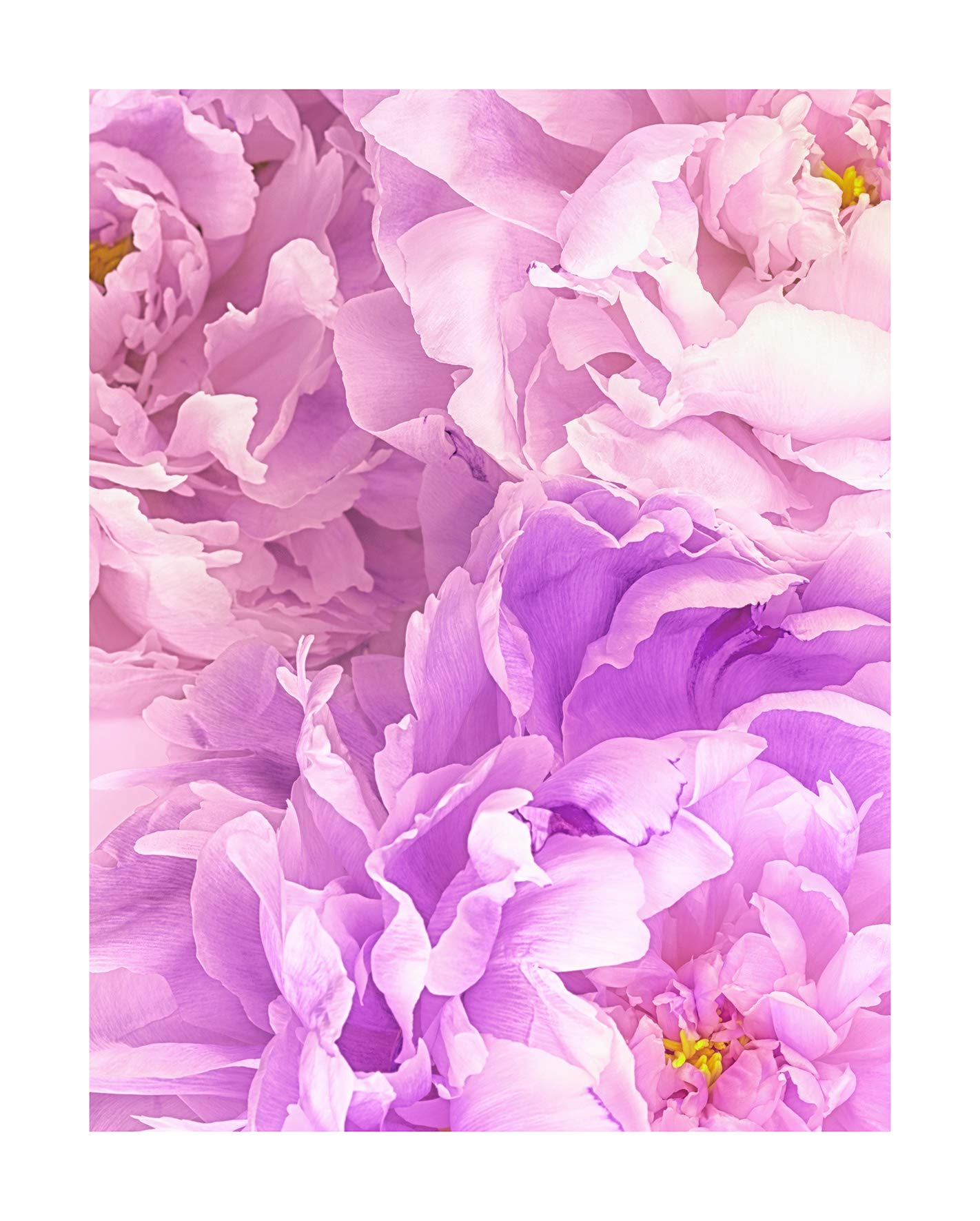 Komar Wall Picture | Soave | Poster for Living Room, Bedroom, Decoration, Art Print | without Frame | P009-40 x 50 cm | Size: 40 x 50 cm (Width x Height)