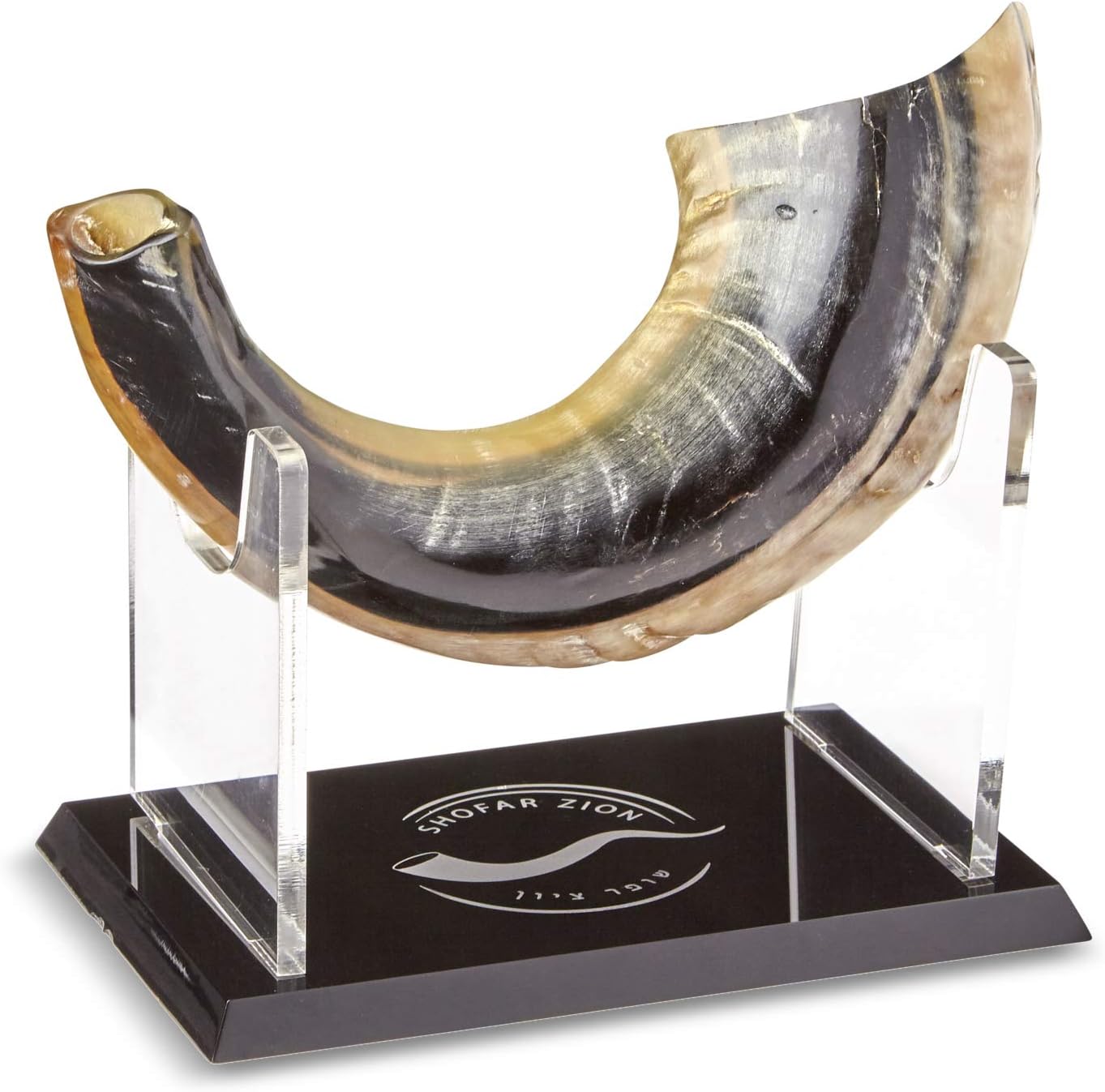 Shofar Zion KOSHER ODORLESS NATURAL SHOFAR Genuine Rams Horn Smooth