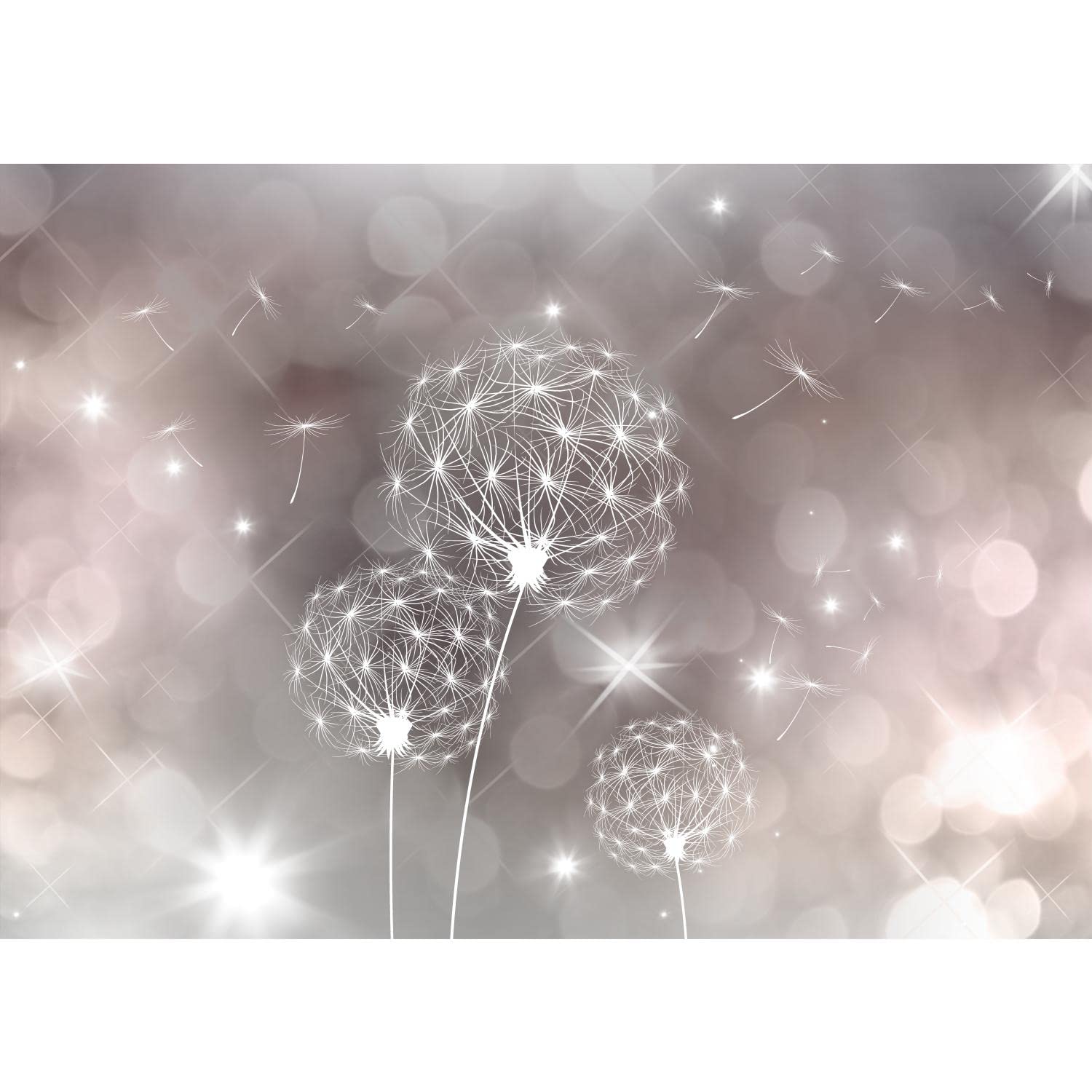 Runa Art Photo Wallpaper Pustenblumen Abstract Modern Non-Woven Living Room Bedroom Wall Decoration - Made in Germany - Gray Beige 9174010a