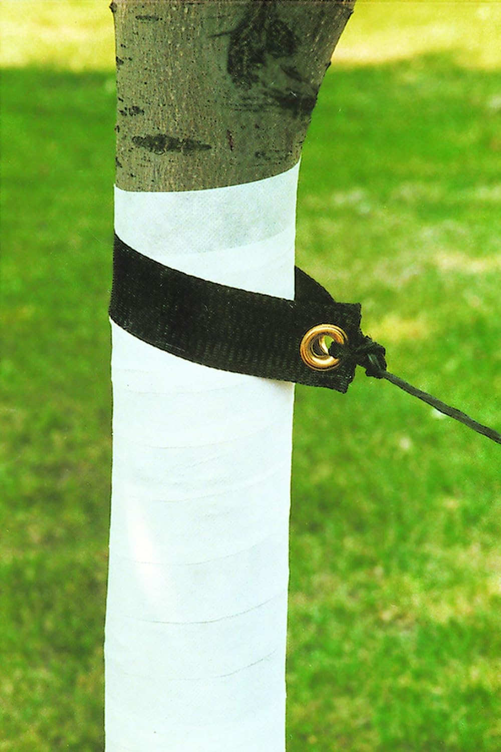 Dewitt 3-Inch by 50-Foot Tree Wrap White TW3W: Industrial & Scientific