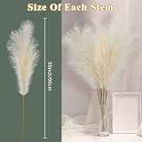 Woltoy Pampas Grass 5 Pcs Dried Look Artificial Stems 96cm Beige Boho view 2