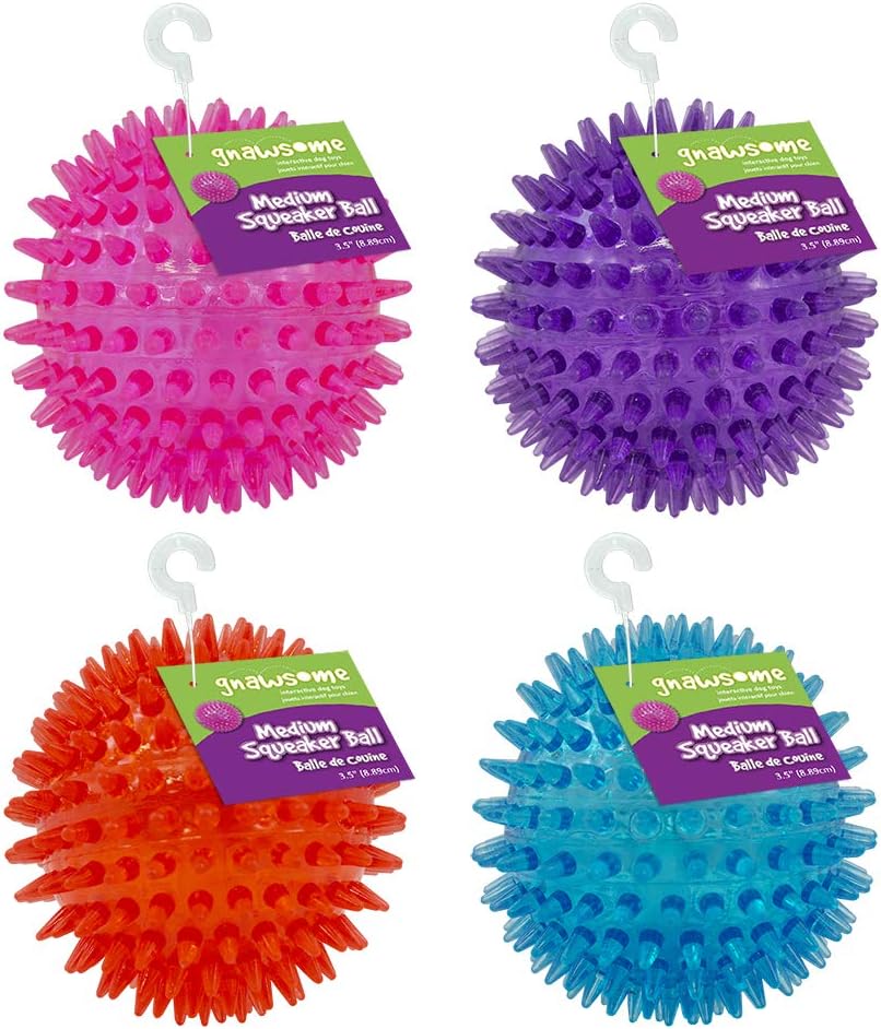 gnawsome squeaker ball