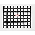 RaceQuip Race Car Window Net Ribbon Style Black 18H x 24W 721005