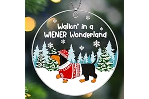 BAOXUE Dachshund Christmas Ornaments 2025, Weiner Dog Ornaments for Christmas Tree, Dachshund Christmas Decorations, Dachshund Gifts for Women - Dachshund Through The Snow