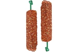 Amaezorx 2 Pcs Natural Bird Treat Sticks for Parrots - Chewing Foraging Training Reward Snacks for Conure Cockatiel Parakeet 