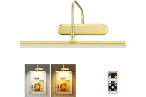 RAIFOOLLY Picture Light,3AA Battery Art Lights for Paintings,Wireless Wall Lighting,Remote Control Accent Light with Timer and Dimmable for Frame,Portrait,Dartboard-Brass