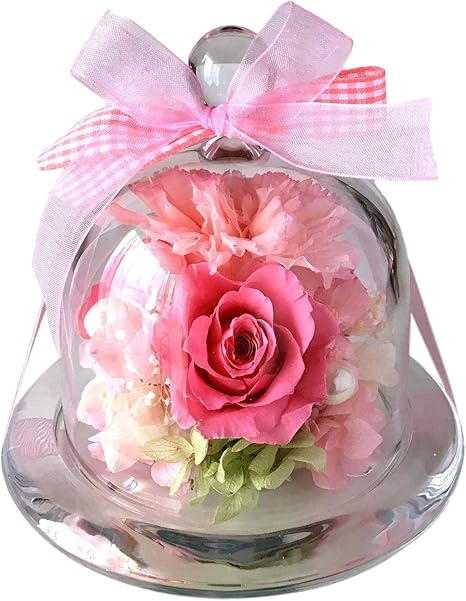 Amazon フローリストレマン プリザーブドフラワー カーネーション 結婚祝い 誕生日 ドーム ラッピング グラスドームm ピンク プリザーブドフラワー オンライン通販