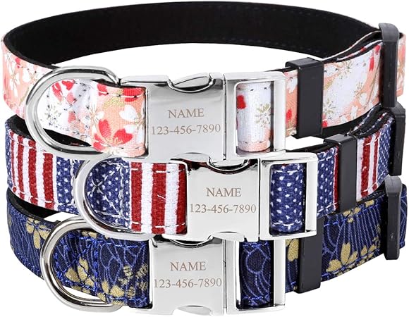 engraved pet collars