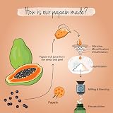 Vegavero Papaya Enzyme 2100 mg Papain 120 Vegan Capsules view 5