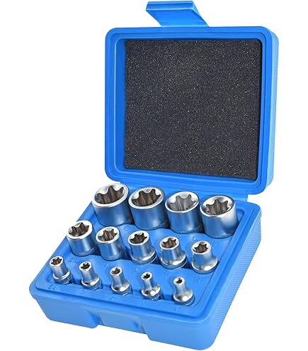 CTA Tools Torx-Steckschlüssel-Set Für Pickup-Ladeflächen – 8-teilig, Inkl. Bits T40 Bis EP24