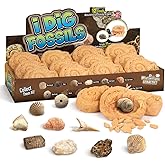 Byncceh Kid's Fossil Digging - Educational STEM Fossils Toys for Kids Ages 6+ - Dig Up 12 Real Fossils & Dinosaur Bones Rocks