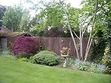 Papillon Bark Natural Garden Fence Screening Roll 4m x 2m Privacy view 5