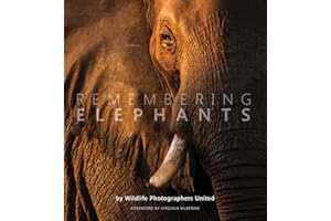 Remembering Elephants