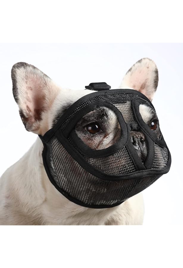 basket muzzle for shih tzu