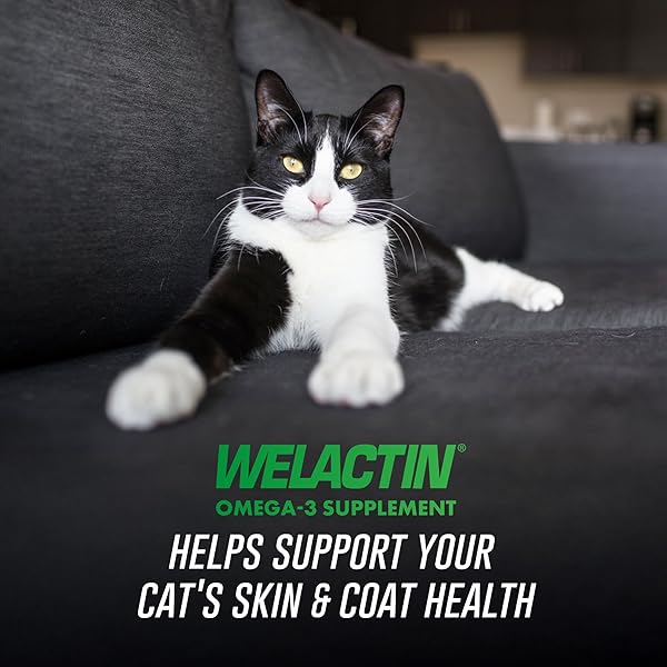 NUTRAMAX WELACTIN OMEGA-3 FISH OIL SKIN AND COAT HEALTH SUPPLEMENT LIQUID FOR CATS – 4 OUNCE