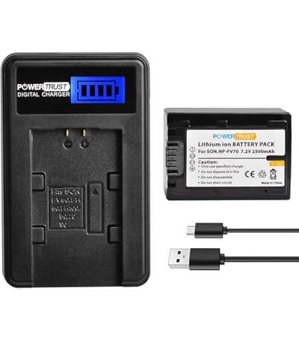 Amazon.com : Pack Of 2 NP-FV70 Batteries & Battery Charger Kit for