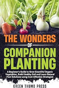 kindle best category lists