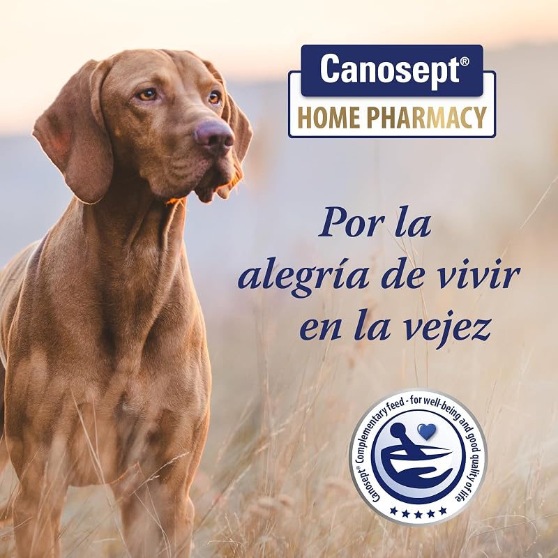 Flora intestinal Perro - probioticos Perros y prebióticos - construye la Flora intestinal Perro - promueve la digestión del Perro a través del Tratamiento intestinal Perro - 30 Comprimidos