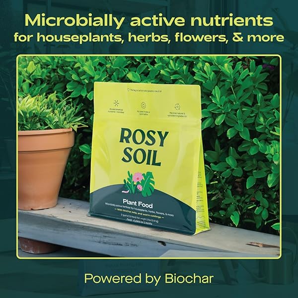 ROSY SOIL PLANT FOOD – MICROBIALLY ACTIVE FERTILIZER FOR HOUSEPLANTS, HERBS, FLOWERS – ENRICHED WITH BIOCHAR, KELP, AND WORM CASTINGS – ORGANIC FOOD FOR HEALTHY GROWTH – 2 QUARTS