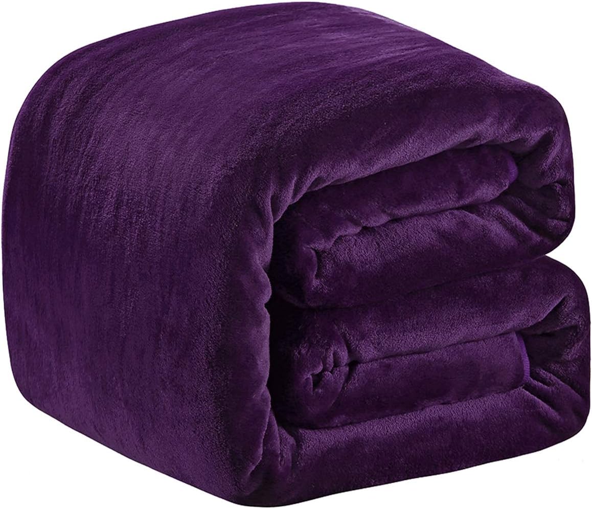 Richave Polar Fleece Blankets Queen Size for The Bed Extra Soft Brush Fabric Super Warm Sofa Blanket 90" x 90"(Purple Queen)