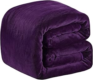 Richave Polar Fleece Blankets Queen Size for The Bed Extra Soft Brush Fabric Super Warm Sofa Blanket 90" x 90"(Purple Queen)