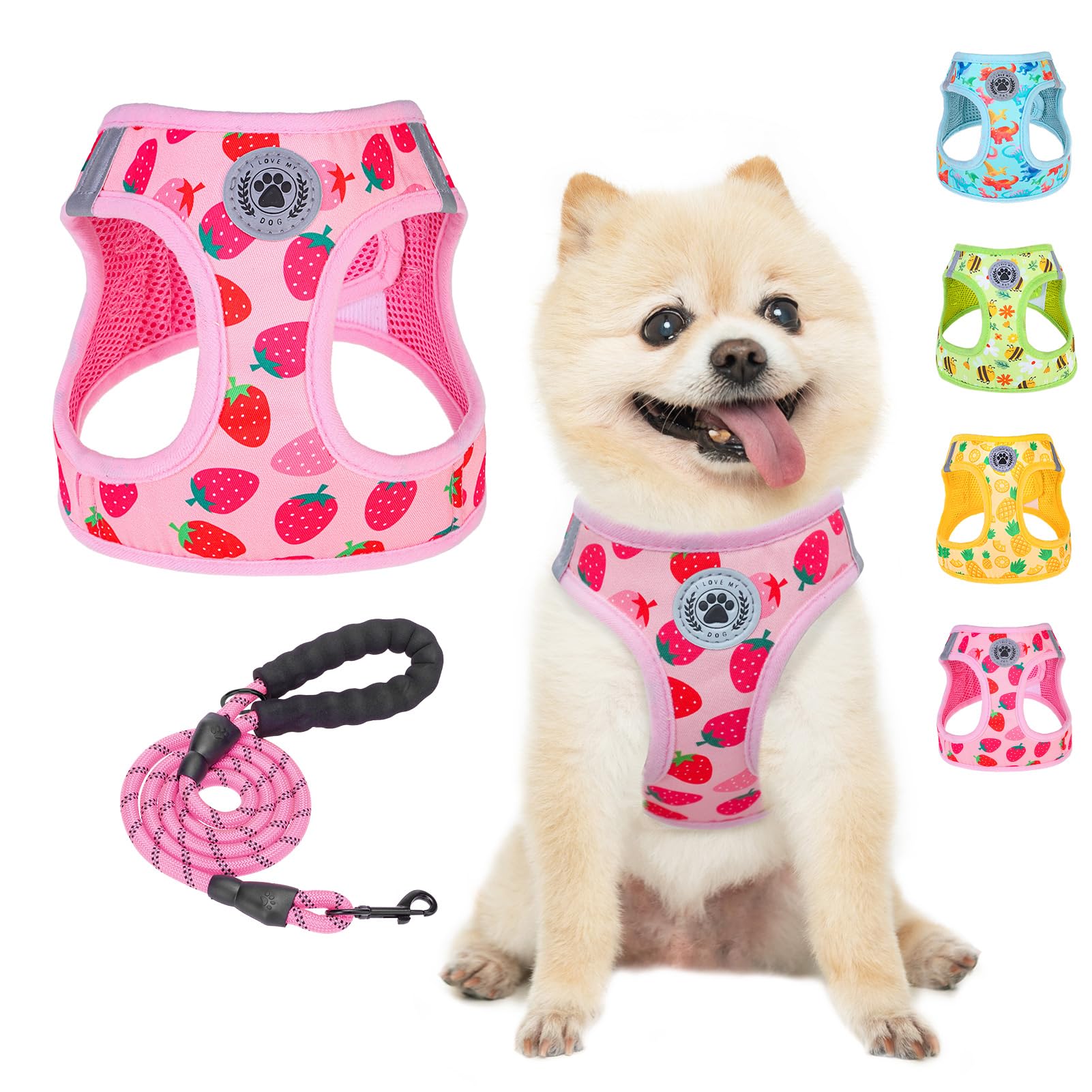 BEAUTYZOO Strawberry XS Step in Dog Harness and Leash Set, Reflective, No Pull, Soft Padded Mesh, 13" - 14.5" Chest Girth — image 1