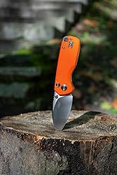 Firebird GANZO FH925-BK Small Pocket Folding Knife
