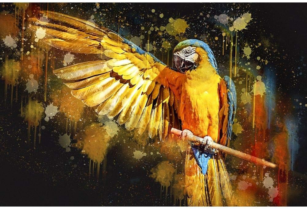 Diamond Painting Kits for Adults,5D Diamond Embroidery Pictures Arts Craft for Home Wall Decor Parrot 15.7×11.8in