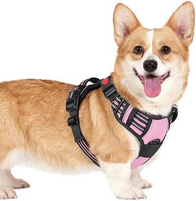 rabbitgoo Dog Harness Small Reflective No Pull Front Back Clips Pink M