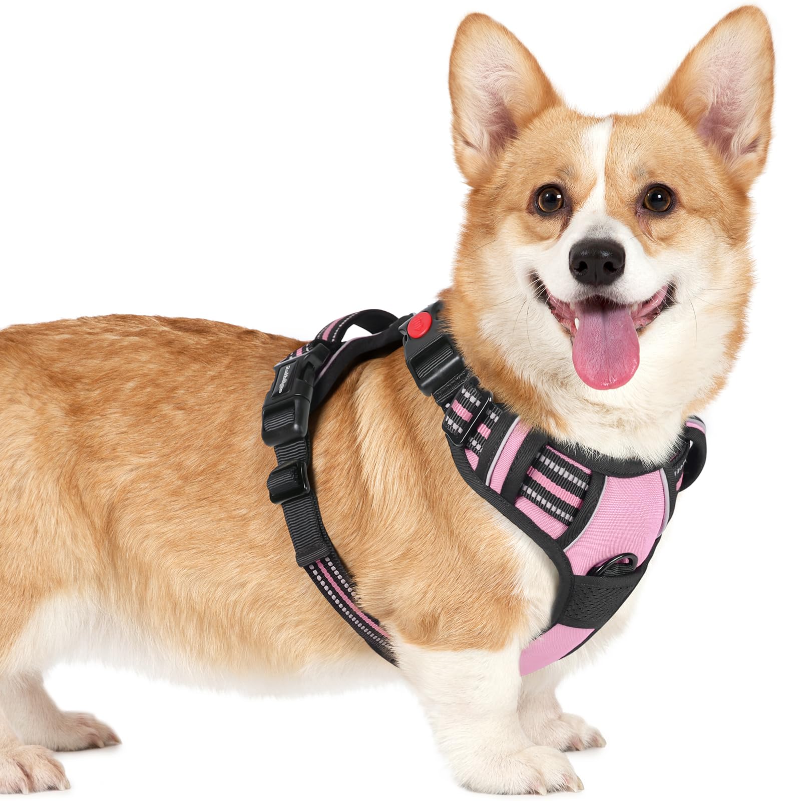 rabbitgoo Dog Harness Small Dog with Neck Release Buckle, Adjustable Soft Padded Puppy Pet Vest with Easy Control Handle, Reflective No Pull Dog Harness with Front Back Clips, Pink, M — image 1