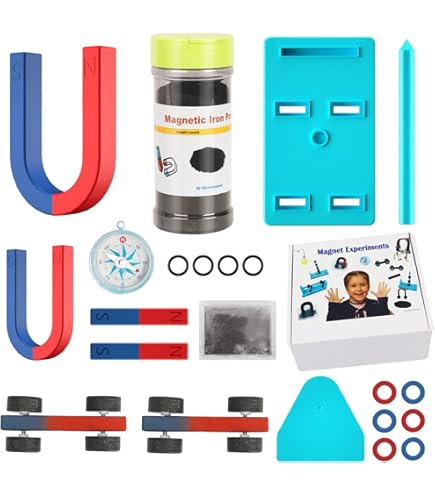 LYFUMAG 24 Pines Magnéticos Fuertes Y Potentes Imanes De Colores Para Refrigerador, Pequeños Y Divertidos Imanes Para Pizarra Blanca, Nevera, Mapa, Escuela, Aula Y Oficina, Color Negro