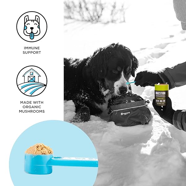 BIXBI DOG VITAMINS SUPPLEMENTS IMMUNE SUPPORT DAILY CAT SUPPLEMENT, POWDER SUPPLEMENT, 2 MONTH SUPPLY US