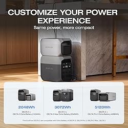 EF ECOFLOW Solar Generator DELTA 3 with 220W