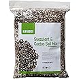 M.M BASICS Succulent Soil Mix/Cactus Soil, Mixed with Volcanic Pumice, Coarse Perlite, Calcined Clay, Black Lava Rocks, Fine