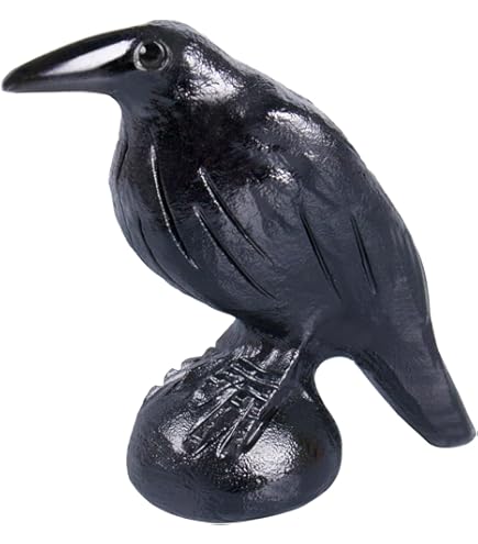 Amazon.com: PTC Leaning Black Raven on Rocks Hand Painted Resin