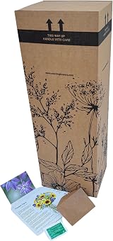 Morning Flowers Spring Symphony Fresh Flowers Bouquet Rose Lily Gerbera view 4