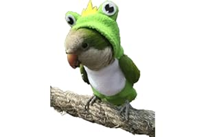YANQIN Bird Costume Bird Diaper Flight Suit Frog Shape Hoodie Bird Clothes Cosplay Photo Prop for Parrots Parakeet Cockatiel Sun Conure, Bird Hoodie Small Animals Apparel (Green with Diaper, Medium)