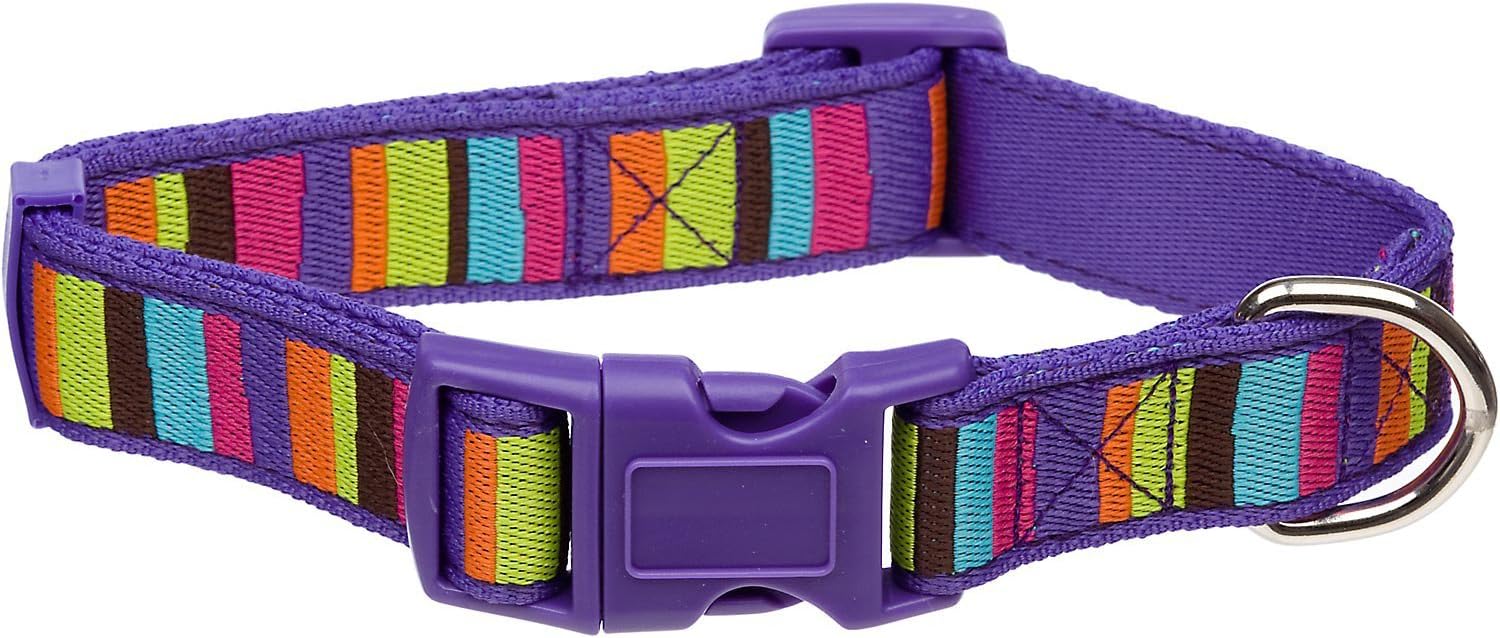 petco personalized cat collars