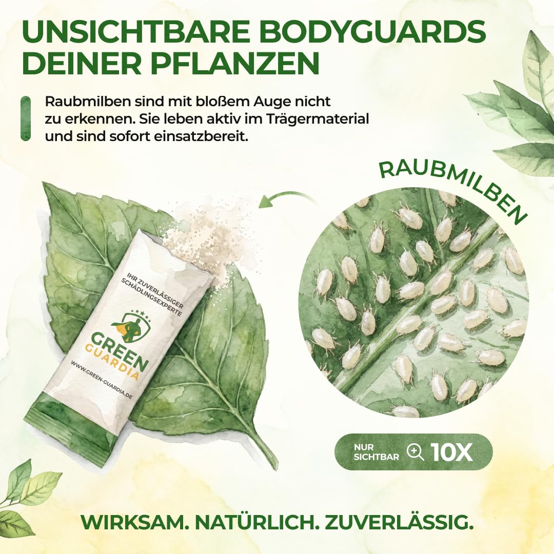GREEN GUARDIA Power Raubmilben gegen Spinnmilben – 10 Tüten - Biologisches Mittel zur effektiven Spinnmilben Bekämpfung für Zimmer- & Zierpflanzen sowie Canna. – chemiefreie Mittel 7