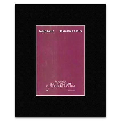 Amazoncom Beach House 2015 Depression Cherry Matted Mini