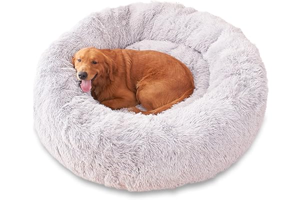 amazon best dog beds