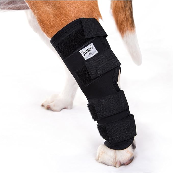 JunoPets Dog Canine Rear Leg Brace, Hock Joint Wrap Amazon.ca Pet