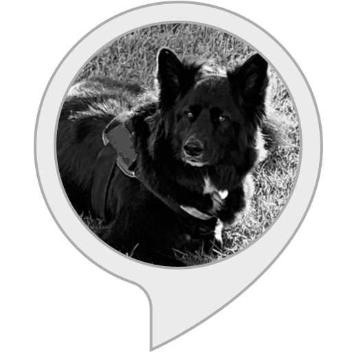 Amazon in What Is My Dog Doing Alexa Skills