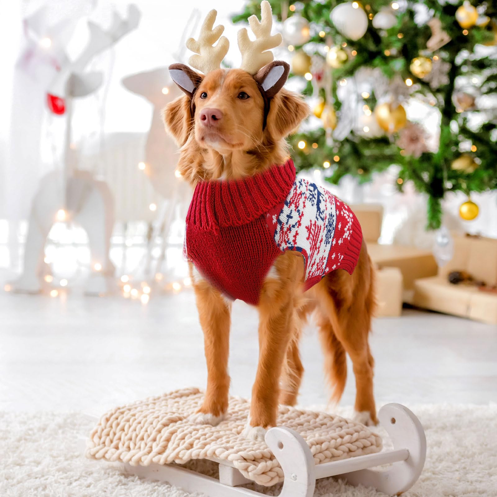 View 7