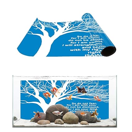 Fish Aquatic Pets T H Home Aquarium Decor Backgrounds Black And