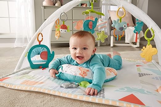 fisher price safari dreams activity gym